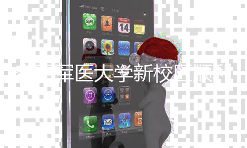 大学年整新校体搬工 区顺迁空军利竣军医计划