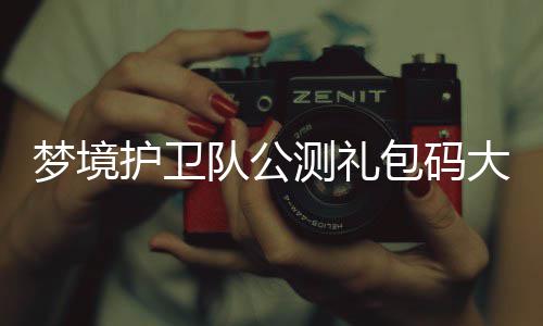 梦境队公大全最新包码3月测礼护卫